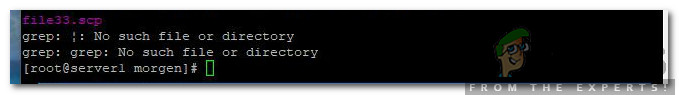 Hur fixar jag 'No such File or Directory' -fel i SCP?