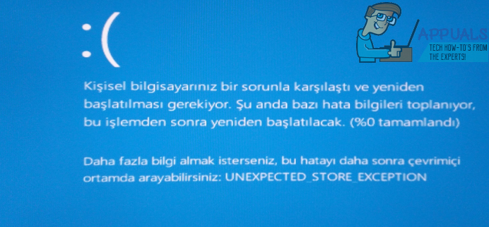 RESOLVIDO: Exceção de armazenamento inesperada no Windows 10