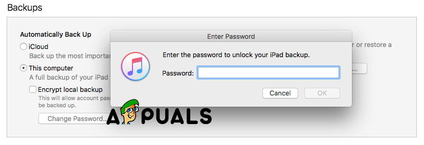 Ipasok ang password upang ma-unlock ang iyong iPhone backup