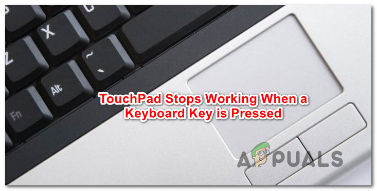 Jak naprawić touchpad nie działa podczas trzymania klawisza klawiatury