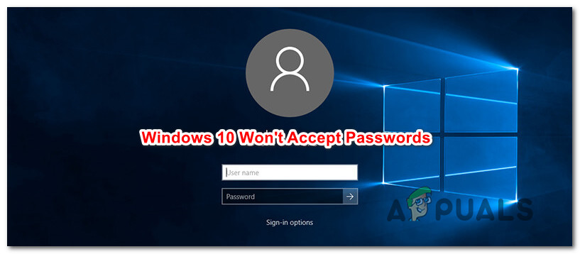 Com es corregeix el Windows 10 que no accepta la contrasenya