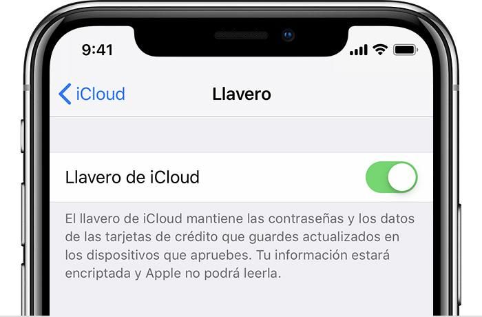 Així pots gestionar les contrasenyes del clauer d'iCloud a iPhone o iPad