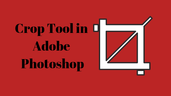 Como usar a ferramenta Crop no Adobe Photoshop