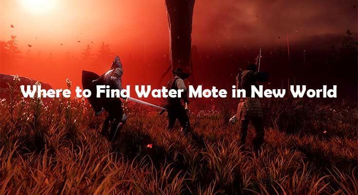 Nuevo mundo: dónde encontrar la mota de agua