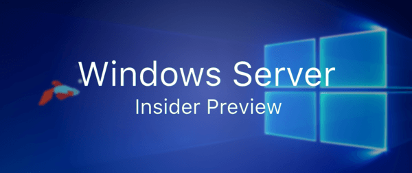 Microsoft lança Windows Server 2019 Insider Preview Build 17650