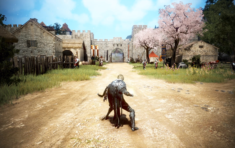 Black Desert Online добавя 50 Player Player Royale Mode, New Class и др