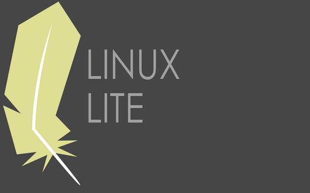 Linux Lite 4.0 oferece desempenho aprimorado, bem como segurança