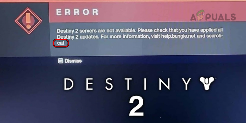Kako popraviti »Error Code: Cat« v Destiny 2?