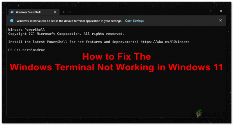 Поправка: Виндовс терминал не ради у оперативном систему Виндовс 11