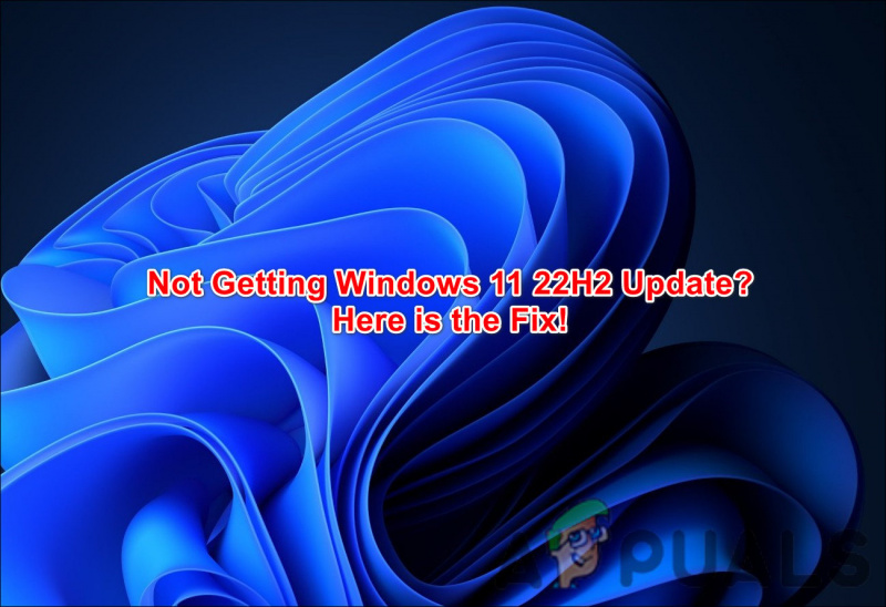 Får du inte Windows 11 22H2-uppdatering? Här är fixen!